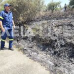 Πυρκαγιά σε δασική έκταση στην ευρύτερη περιοχή Πρασίνου - Κατσαρού - Φωναϊτικών Ηλείας