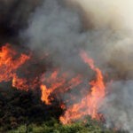 Πυρκαγιά ΤΩΡΑ σε δασική έκταση στην περιοχή Άγιος Κωνσταντίνος Φωκίδας