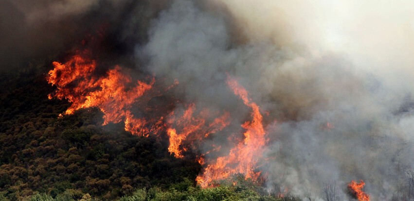 Πυρκαγιά ΤΩΡΑ σε δασική έκταση στην περιοχή Άγιος Κωνσταντίνος Φωκίδας