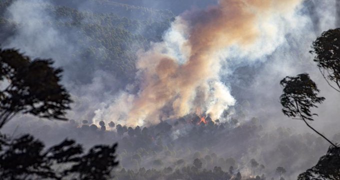 50 δασικές πυρκαγιές εκδηλώθηκαν το τελευταίο 24ωρο