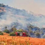 Σε 57 ανήλθαν οι δασικές πυρκαγιές το τελευταίο 24ωρο