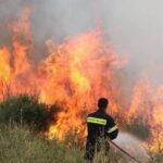 Δήμος Θερμαϊκού: Πυρκαγιά στην Αγ. Τριάδα κοντά σε κατοικημένη περιοχή