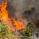 Πυρκαγιά σε Γεωργική έκταση στην Αμφιλοχία