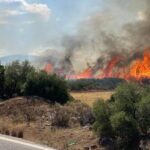 Πυρκαγιά σε εξέλιξη σε δασική έκταση στα Γρεβενά