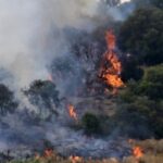 Πυρκαγιά σε δασική έκταση στη Χασιά Αττικής