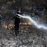 1100 καμένα στρέμματα από την πυρκαγιά στην Χίο