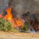 63 Δασικές πυρκαγιές το τελευταίο 24ωρο