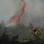 Πυρκαγιά ΤΩΡΑ σε χαμηλή βλάστηση στην περιοχή Πετρομάγουλο Διμηνίου Μαγνησίας