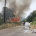 Πυρκαγιά εν υπαίθρω κοντά σε συνεταιρισμό στη Βέροια (Φώτο)