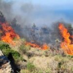 Πυρκαγια σε γεωργική έκταση στα Μαλάματα Φωκίδας