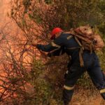 Πυρκαγιά στα Βίλια: Οριοθετημένη η φωτιά - Σε επιφυλακή η Πυροσβεστική