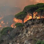 Μεγάλη πυρκαγιά δασώδη περιοχή έξω από την Ρώμη