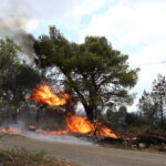 Σύλληψη επ αυτοφώρω εμπρηστή στη Μάνη…Έβαζε φωτιά με φιδάκι!!!