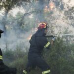 Πυρκαγιά εν υπαίθρω στα Αμπελάκια στην Σαλαμινα Αττικής