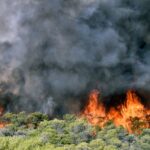 Δασικές πυρκαγιές: 58 το τελευταίο 24ωρο