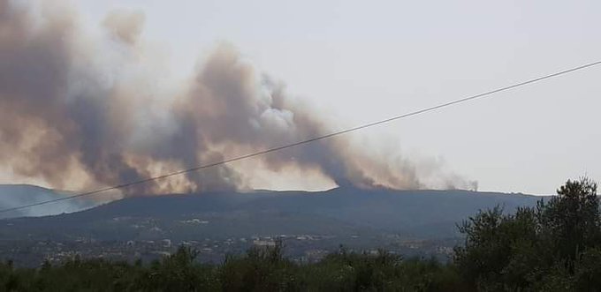 Μεγάλη πυρκαγιά ΤΩΡΑ σε δασική έκταση στην περιοχή Βασιλίτσι Μεσσηνίας