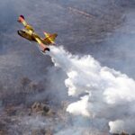 Πυρκαγιά σε δασική έκταση στην περιοχή Δρυάλια Λακωνίας