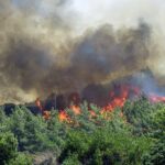 Πυρκαγιά στα χωριά Λευκάδα της Σπερχειάδας και Λογγίτσι της Στυλίδας