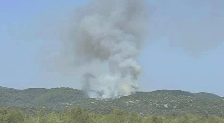 Πυρκαγιά σε δασική έκταση στην Τορώνη Χαλκιδική (Φώτο)