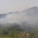 Πυρκαγιά σε δασική έκταση στη θέση Λημέρι στον Άγιο Νικόλαο Φιλιατών