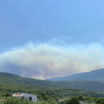 Νέα δασική πυρκαγιά στα Βίλια