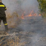 Πυρκαγιά εν υπαίθρω στο Βαθύλακκο Χαλκηδόνας