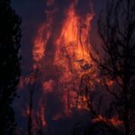 Δασικές πυρκαγιές: 92 το τελευταίο 24ωρο