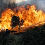 Δασικές πυρκαγιές: 35 το τελευταίο 24ωρο