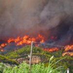 Πυρκαγία σε δασική έκταση στην περιοχή Θύμι Καρύστου