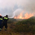 Πυρκαγιά σε χαμηλή βλάστηση στα Μέγαρα