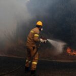 Σύλληψη εμπρηστή δάσους στην Κεφαλονιά