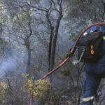 Πυρκαγιά σε χορτολιβαδική έκταση στην περιοχή Μικρο Κεφαλόβρυσο στα Τρίκαλα