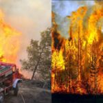 Νέα οχήματα δωρίζουν στην Πυροσβεστική ασφαλιστικές εταιρείες