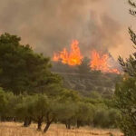 Πυρκαγιά σε δασική έκταση στην Ελαία Φωκίδας