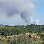 Πυρκαγιά ΤΩΡΑ σε δασική έκταση στην θέση Ψήλωμα στο Κιλκίς