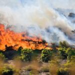 Ενισχύονται η δυναμεις στην δασική πυρκαγιά στην Κάρπαθο.(φωτό)