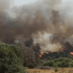 Συναγερμός στην Πυροσβεστική για δασική πυρκαγιά στην Καστοριά