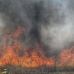 Πυρκαγιά εν υπαίθρω στην Αγία Παρασκευή Βισαλτίας