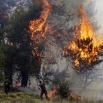 Πυροσβεστική: 30 δασικές πυρκαγιές το τελευταίο 24ωρο