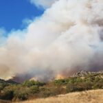 Πυρκαγιά σε δασική έκταση στην Αλεξανδρούπολη