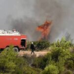 Πυρκαγιά σε χαμηλή βλάστηση στην περιοχή Νέος Ωρωπός Πρέβεζας