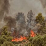 Μεγάλη πυρκαγιά σε αγροτοδασική έκταση στην Αργολίδα