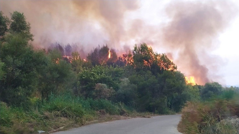 Πυρκαγιά σε εξέλιξη σε χορτολιβαδική έκταση στην περιοχή Άντισσα Λέσβου