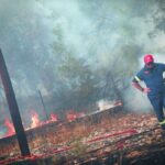 Πυροσβεστική: 22 δασικές πυρκαγιές το τελευταίο 24ωρο