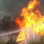 Πυρκαγιά σε χωράφι με καλλιέργεια βαμβακιού στην περιοχή του Ριζομύλου Μαγνησίας