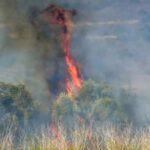 Ηλεία: Συναγερμός στην Πυροσβεστική για πυρκαγιά κοντά στο Ποτόκι