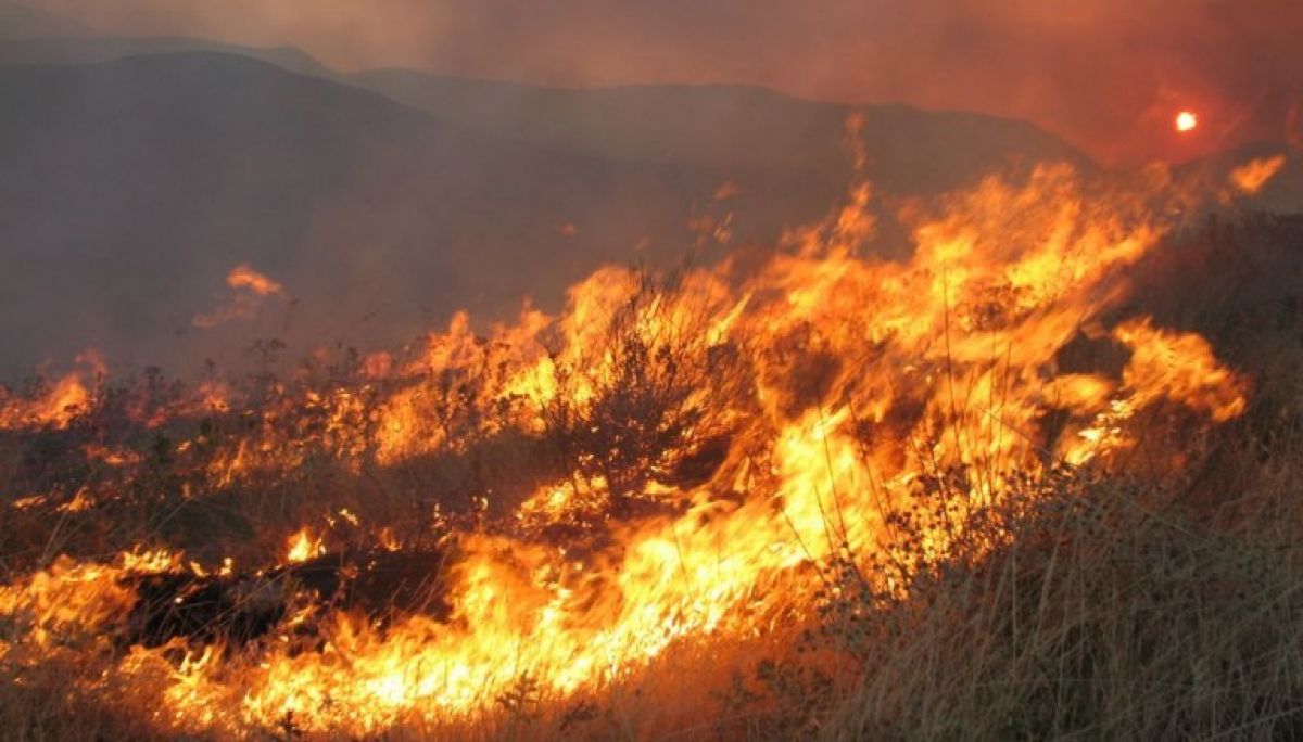 Πυρκαγιά εν υπαίθρω στην Ευξεινούπολη Μαγνησίας