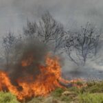 Πυρκαγιά σε χορτολιβαδική έκταση στη Μεγάλη Βρύση Ηρακλείου