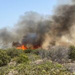 Πυρκαγιά ΤΩΡΑ σε χορτολιβαδική έκταση στην περιοχή Μπρίνια Ηλείας