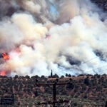 Πυρκαγιά σε χορτολιβαδική έκταση στην περιοχή Κόρωνος Νάξου